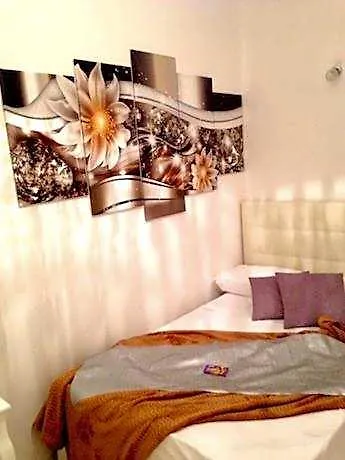 Frühstückspension Luxor Eco Casa E Per Vacanze In Centro Piazza Bologna, Colosseo, Piazza Di Spagna, Vaticano, San Pietro, Sapienza, Fontana Di Trevi, Piazza Navona, Trastevere, Tiburtina, Termini, Aeroporto Rom